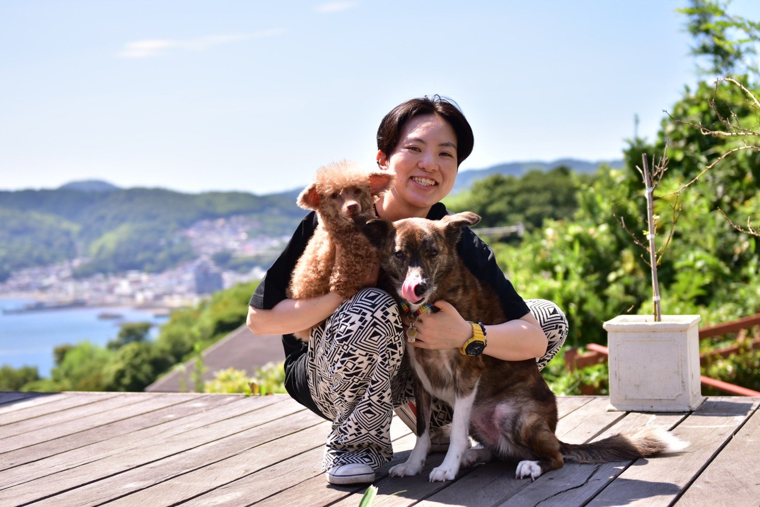 獣医師 大田原こと美